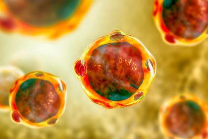 Un parasite présent chez les personnes en bonne santé