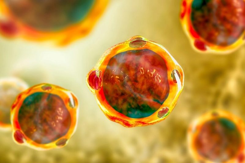 Un parasite présent chez les personnes en bonne santé