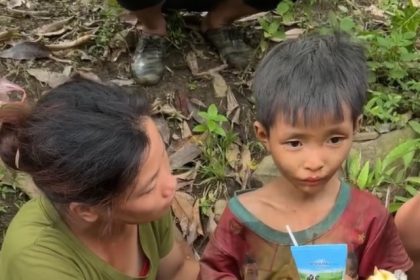 Vietnam : un garçon de six ans retrouvé vivant après avoir erré quatre jours en pleine forêt