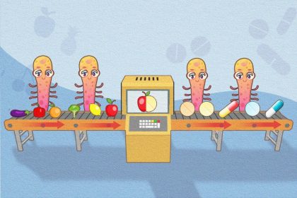 Les microbes présents dans l&rsquo;intestin pourraient-ils remplacer les compléments alimentaires ?