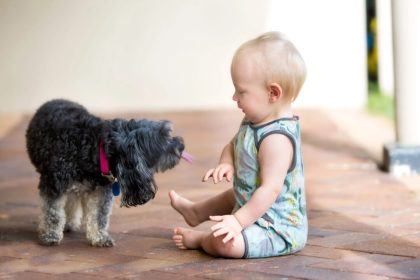 Les nombreux bienfaits des bactéries de notre animal de compagnie pour notre santé