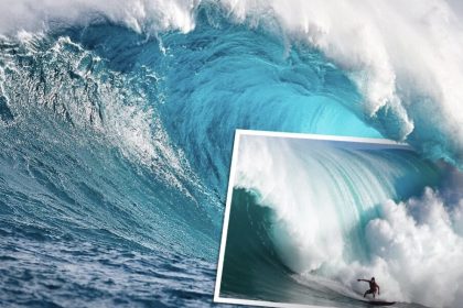 Un photographe prend des photos à couper le souffle de la vague géante « Jaws » sur la côte nord de Maui – et c’est incroyable