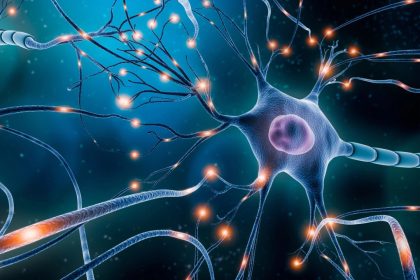 Qu&rsquo;est-ce qu&rsquo;un système nerveux hyperactif et comment le calmer ?