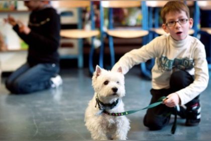 « Une petite avancée » : les élèves de CP auront des cours sur le bien-être animal à la rentrée