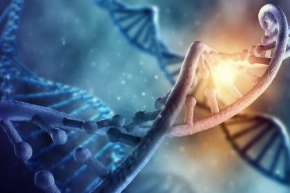 Le sucre accélère le processus de vieillissement