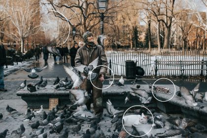 Les fausses images sont partout : comment s&rsquo;y retrouver?