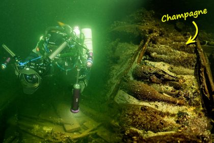 Des plongeurs découvrent des bouteilles de champagne scellées vieilles de 175 ans dans une épave, ainsi qu’une cargaison « précieuse »