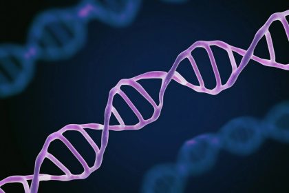 Un faible taux de magnésium est lié à une dégradation de l&rsquo;ADN et à un risque de maladie chronique
