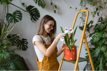 Les effets thérapeutiques des plantes d’intérieur