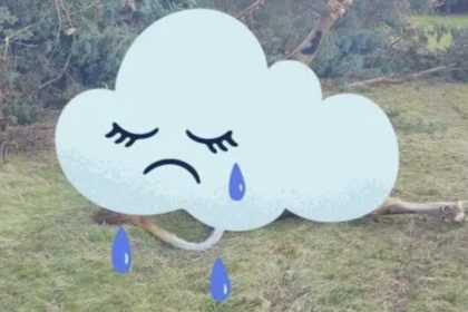 Inondations : Panga, la vache symbole de la crue dévastatrice, a été retrouvée morte