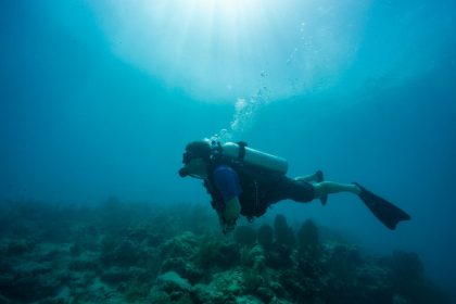 Une espèce d&rsquo;hippocampe considérée comme disparue est observée à La Réunion