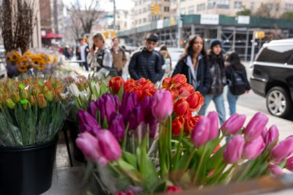 « Maman, tu dois te battre » : une fleuriste demande la reconnaissance du préjudice de sa fille, morte à 11 ans, contaminée par les pesticides
