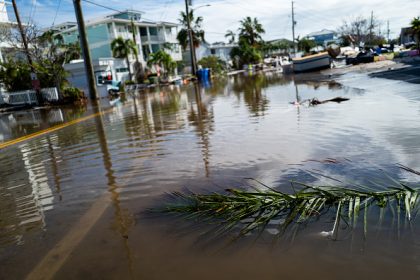 Les habitants de Floride durement éprouvés par l&rsquo;Ouragan Milton : en plus des 16 morts à ce jour, l&rsquo;arrivée d&rsquo;alligators, de serpents et de bactéries