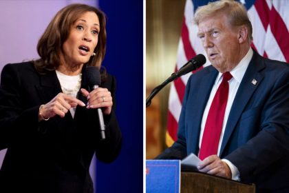 Plus de Républicains que de Démocrates ont voté par anticipation dans les États clé de l&rsquo;Arizona, du Nevada et de la Caroline du Nord