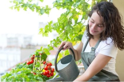 Créer un jardin urbain dans un petit espace