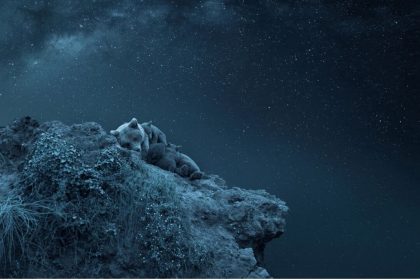 Rêver au-dessus de l’univers : une photographe remporte un prix pour son image créative d’une famille d’ours dormant sous les étoiles