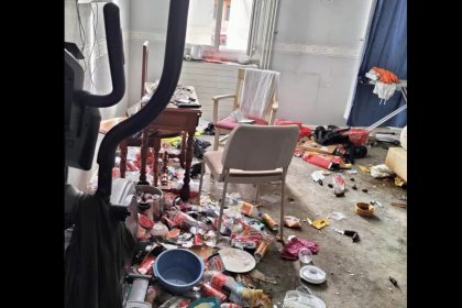 Toulouse : deux chiens abandonnés sans soins dans une chambre d&rsquo;hôtel