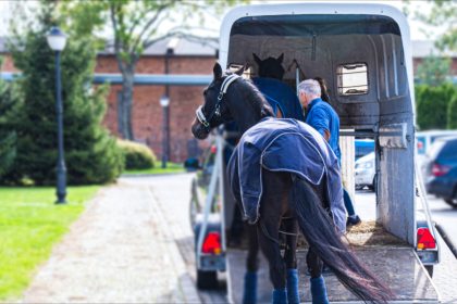 Ille-et-Vilaine : un cheval fait une crise de panique dans son van et meurt après être tombé sur une quatre-voies