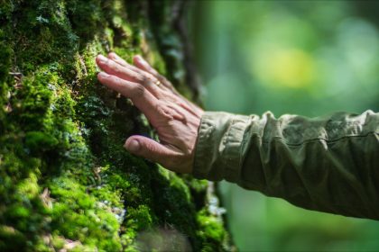 Corse : un homme perdu en pleine forêt survit à l&rsquo;orage et au froid pendant deux jours
