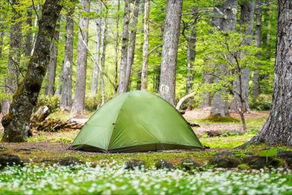 Vosges : un enfant de 10 ans retrouvé mort près d&rsquo;un étang, intoxiqué au monoxyde de carbone