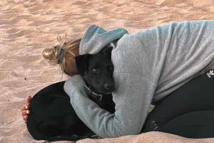Un moment « magique » : Amalka, la chienne échappée d’un avion à l’aéroport Charles-de-Gaulle, retrouve sa maîtresse après neuf jours de fugue