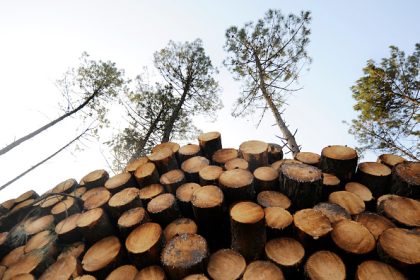 Massif de la Chartreuse : une association distribue gratuitement du bois de chauffage aux personnes en difficultés