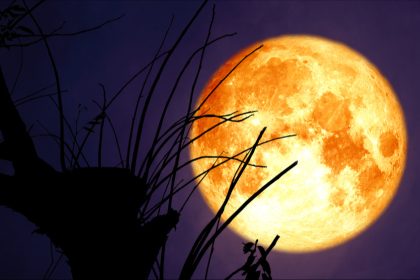 La pleine Lune du Castor, dernière Super Lune de l’année, brillera ce vendredi soir