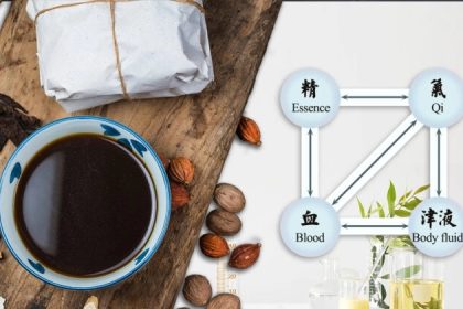 Relation entre l&rsquo;essence, le Qi, le sang et les fluides corporels