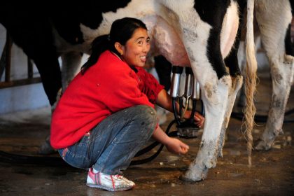 Meurtres en série, corruption, crise du lait, etc. : les dernières actualités en Chine