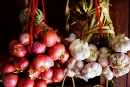 L&rsquo;oignon et l&rsquo;ail : les ennemis naturels du cancer