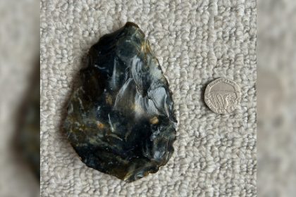 La « meilleure trouvaille » : sur la plage, un garçon de 6 ans découvre une hache vieille d’au moins 40.000 ans