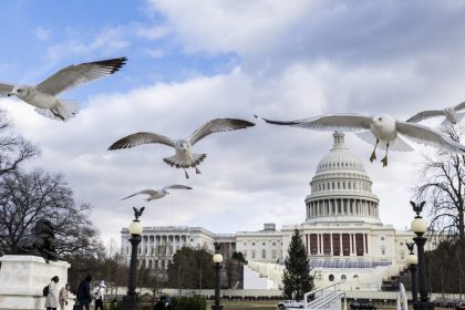 Le Congrès se prépare à certifier la victoire électorale de Donald Trump le 6 janvier