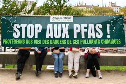 Substances toxiques dans des emballages alimentaires en fibres végétales