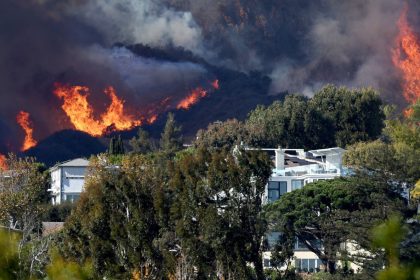 Incendies à Los Angeles : près de 780 détenus déployés sur le terrain pour aider les pompiers