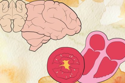 Les aliments qui ressemblent à la partie du corps à laquelle ils apportent des bienfaits