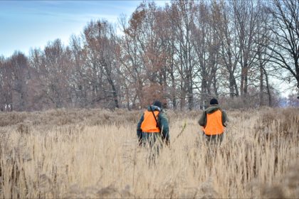 Manche : deux jeunes chasseurs retrouvés morts dans un gabion