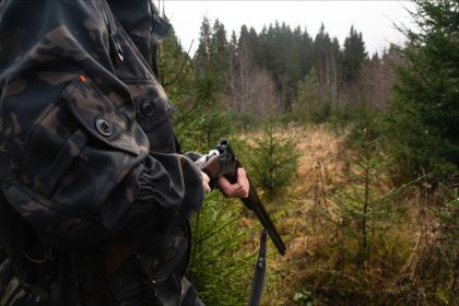 Charente : une battue aux sangliers vire au drame, un chasseur de 74 ans tué par une balle qui a ricoché