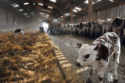 Loi d&rsquo;orientation agricole : l’agriculture érigée au rang « d&rsquo;intérêt général majeur » – que contient le texte ?