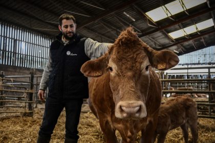 Oupette, une Limousine égérie du Salon de l&rsquo;agriculture : Alexandre Humeau, exemple d&rsquo;une transmission réussie