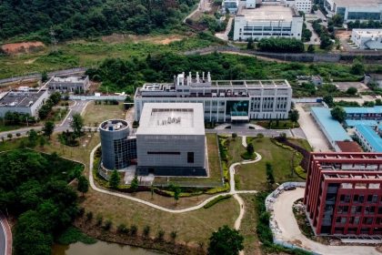 Des chercheurs chinois du laboratoire de Wuhan découvrent un virus de chauve-souris semblable à celui du Covid-19