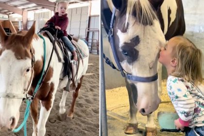 Les chevaux peuvent la sentir : rencontrez l’experte de 2 ans qui peut monter des chevaux adultes