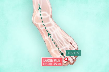 Da Dun : un point d&rsquo;acupression puissant pour soulager le stress