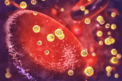 Le cholestérol pourrait renforcer les capacités de l&rsquo;organisme à lutter contre le cancer