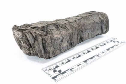 L&rsquo;intelligence artificielle dévoile le contenu d&rsquo;un parchemin antique carbonisé vieux de 2000 ans