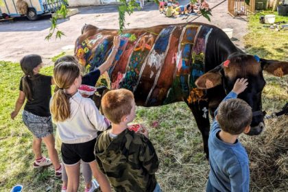 Mayenne : une ferme itinérante artistique propose de peindre sur des vaches, des internautes s’offusquent