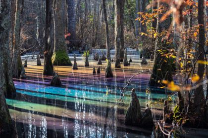 Phénomène rarissime : un marais prend une incroyable couleur arc-en-ciel aux États-Unis