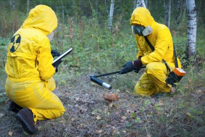 Un champignon mangeur de radiations prospère à Tchernobyl et provoque l’intérêt des chercheurs