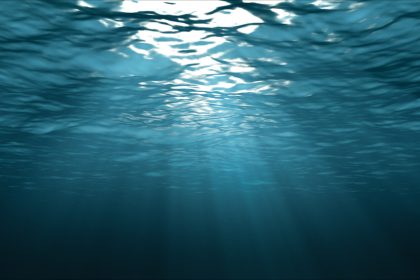 De mystérieux sons sous-marins qui intriguent les chercheurs depuis des décennies seraient… une conversation