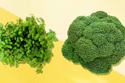 Comment un composé du brocoli est devenu un héros de l&rsquo;autisme