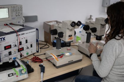 Trois quarts des scientifiques américains interrogés par Nature envisagent de quitter le pays